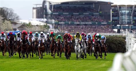 grand national finishers|Full Grand National 2024 result including 1.